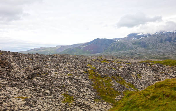Old lava field covered with green moss, west Iceland
