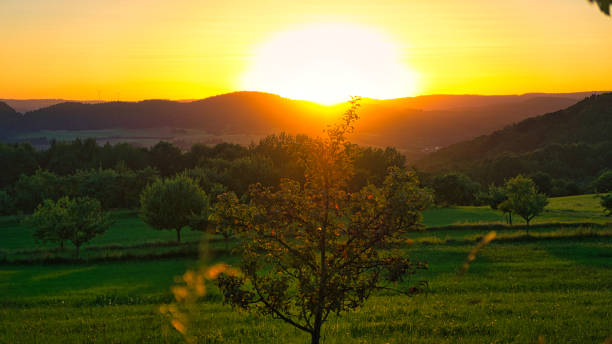 istock Sunset in Saarland on a meadow with trees and view into the valley 1357409612