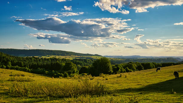 A sunny day in Saarland with a view over meadows into the valley.