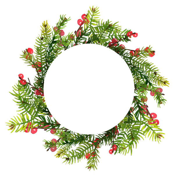 istock Christmas wreath. Ornaments from the branches painted with watercolors on white background. Branches of trees. 1357415361