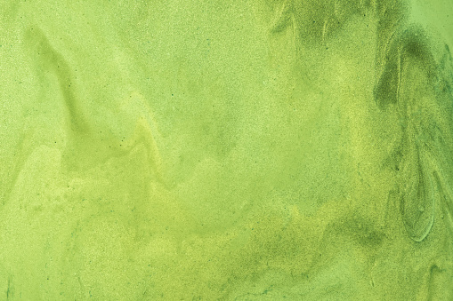 Lime Green Wallpaper Pictures | Download Free Images on Unsplash Lime Green Wallpaper Pictures | Download Free Images on Unsplash
