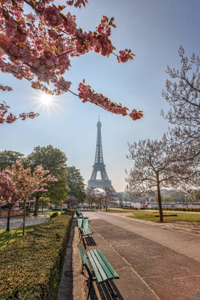 istock Eiffel Tower with flowering trees during springtime in Paris, France 1357417171
