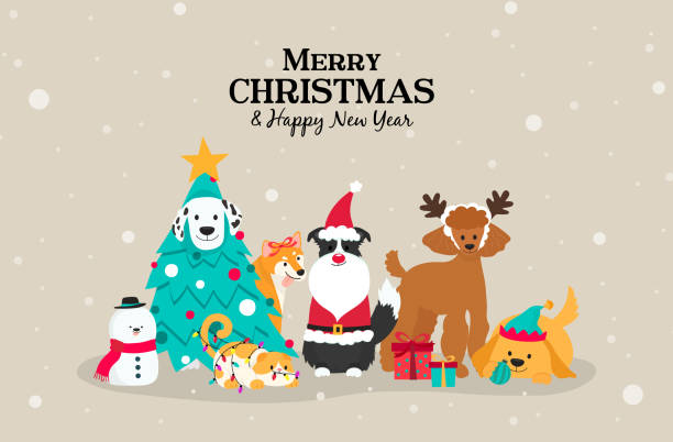 illustrations, cliparts, dessins animés et icônes de joyeux noël et bonne année carte de vœux illustration vectorielle. chiens et chats mignons en costume d’animal de compagnie de noël - santa dog