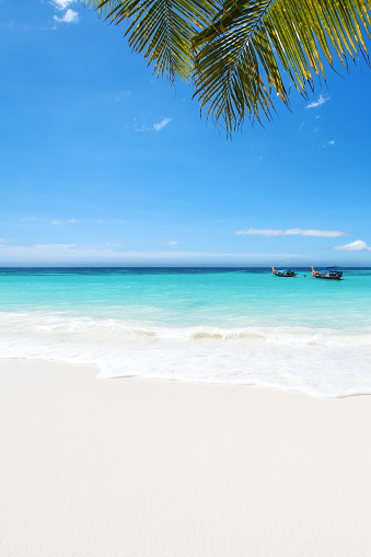 White Sand Beach Pictures | Download Free Images on Unsplash