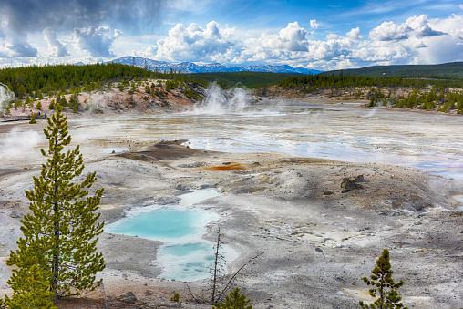 Steaming opaque thermal pools at Norris Geyser Basin. Yellowstone National Park, Wyoming - USA