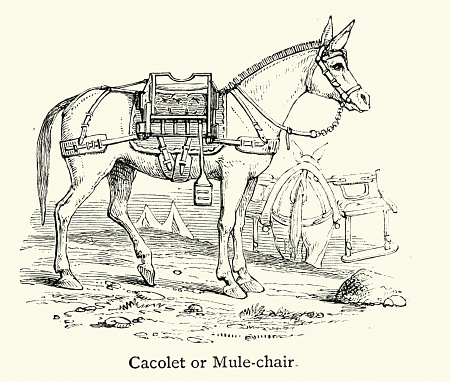 Vintage illustration Mule, Cacolet, of chair