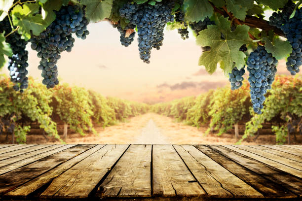 mesa de madera vieja con viñedo borroso y fondo de uva. - wineyard fotografías e imágenes de stock