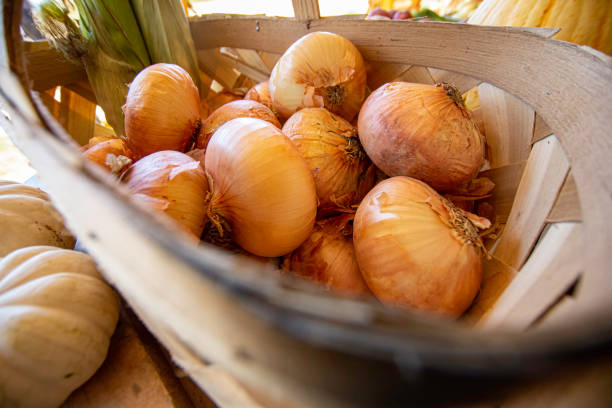 バスケットに入った新鮮な玉ねぎ - sweet onion ストックフォトと画像