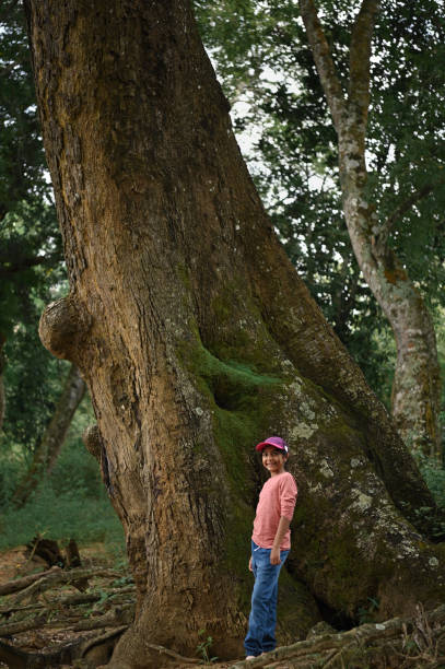 istock Girl standing near a huge tree trunk in a forest 1357432672