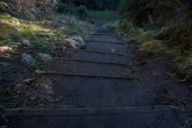 dirt path - old dirt road imagens e fotografias de stock