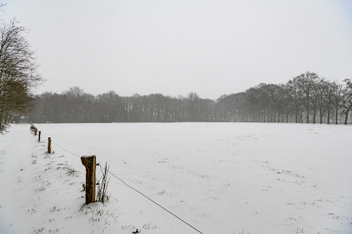 White snowy landscape after heavy snowfall in Overijssel during a cold winter day in The Netherlands.