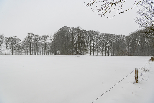 White snowy landscape after heavy snowfall in Overijssel during a cold winter day in The Netherlands.