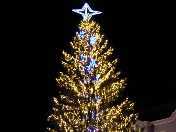 istock Christmas tree in Baia Mare city, Romania 1357441298