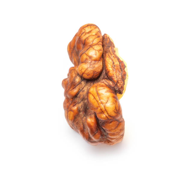 istock Walnut Isolated. Peeled walnut on white background. Top view. Flat lay