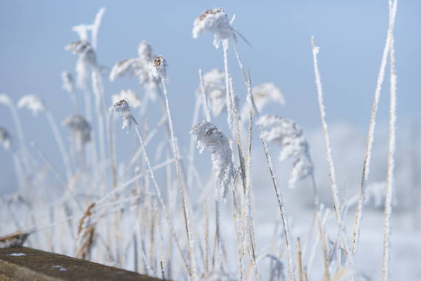 istock Winter landscape with much snow. Cold weather. 1357444583