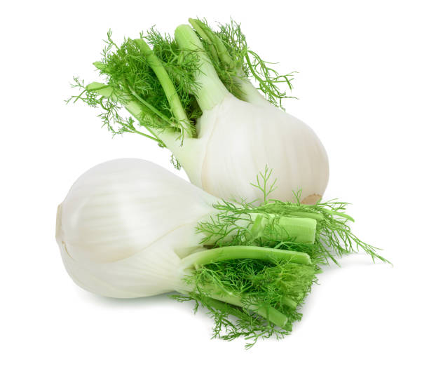 istock fresh fennel bulb isolated on white background with full depth of field 1357446549