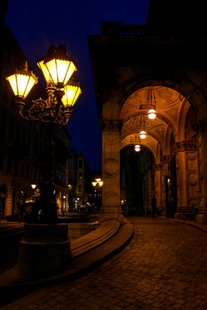 Facade of the Opera in Budapest at night, Hungary