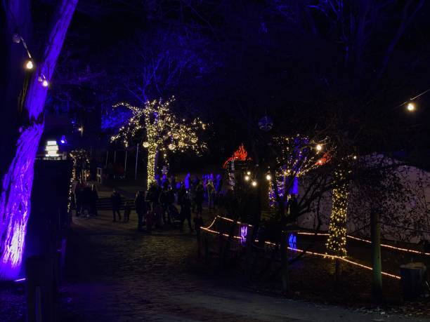 istock Nicely lit landscape in the dark 1357452296