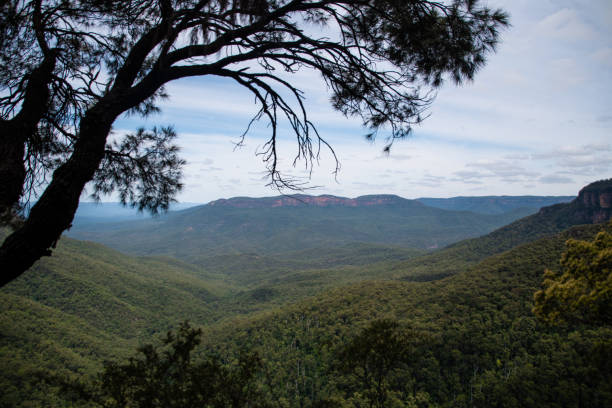 istock Views at the Blue Mountains near Sydney, Australia 1357453376