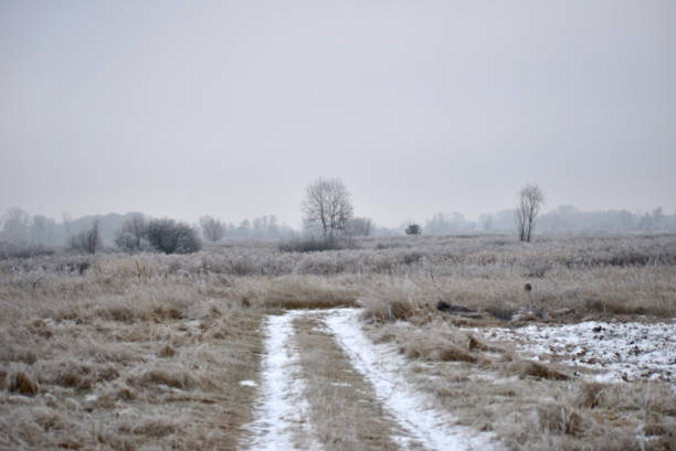 istock Early winter. Rural road paved through the field. 1357454402