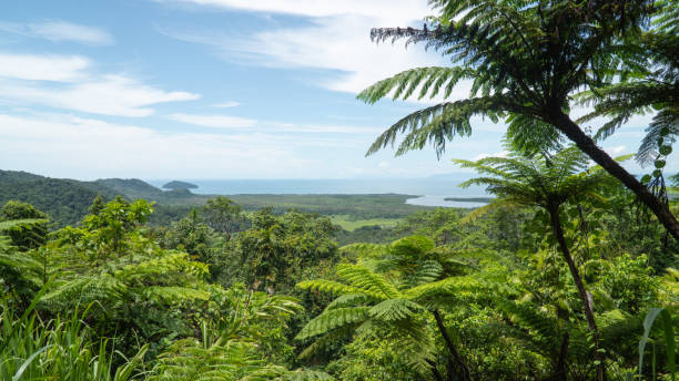 istock Views at Mount Alexandra lookout, Australia 1357454697