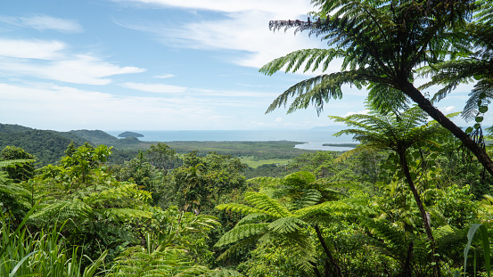 During our trip trough Daintree National Park we stopped at Mount Alexandra Lookout for the most epic views.