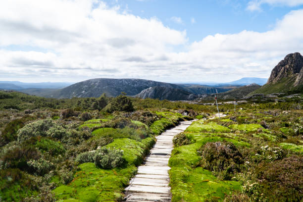istock Path through the rough landscape around Cradle Mountain, Australia 1357454864