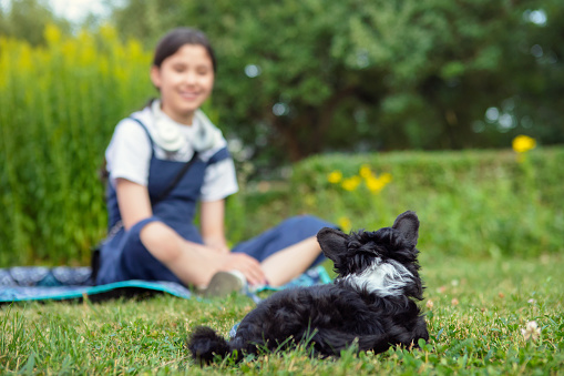 A teenage girl and a young chinese crested puppy relaxing together outdoors in a garden.