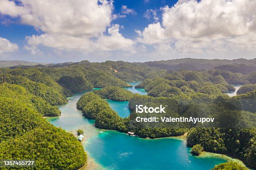 istock Mangroves forest cove a Sugba lagoon in Siargao, Philippines. Aerial shot taken with drone. 1357455727