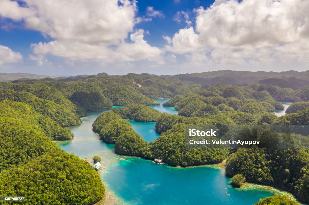 Mangroves forest cove a Sugba lagoon in Siargao, Philippines. Aerial shot taken with drone. Mangroves forest cove a Sugba lagoon in Siargao, Philippines. Aerial shot taken with drone Siargao Stock Photo