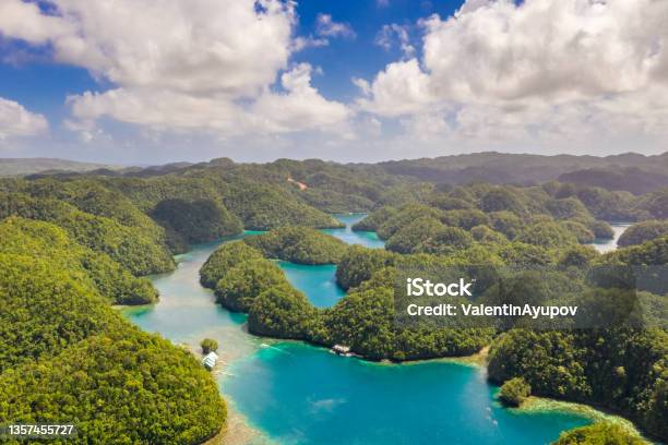 Mangroves Forest Cove A Sugba Lagoon In Siargao Philippines Aerial Shot Taken With Drone Stock Photo - Download Image Now