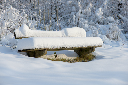 One with a thick blanket of snow vovered park bench at the edge of the forest.