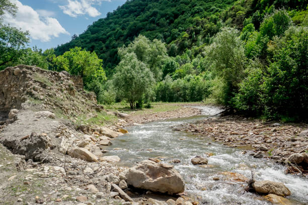 istock Mountain river surrounded by green trees in Dagestan 1357458483