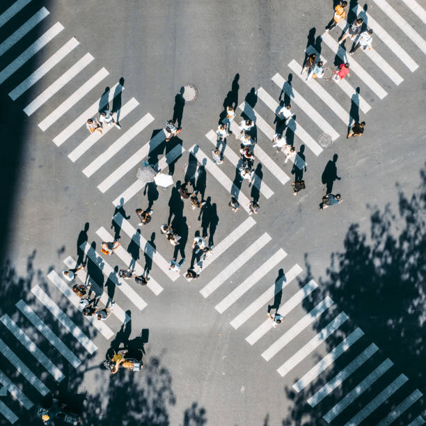 Drone Point View of City Street Crossing Drone Point View of City Street Crossing aerial view of people stock pictures, royalty-free photos & images