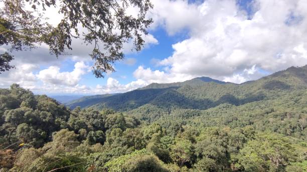 istock View of forest mountain and beautiful sky 1357459937