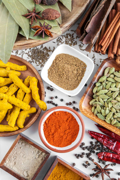 varietà di spezie indiane con peperoncino, curcuma, cannella e anice per la cucina ayurvedica - spice ayurveda herb curry powder foto e immagini stock