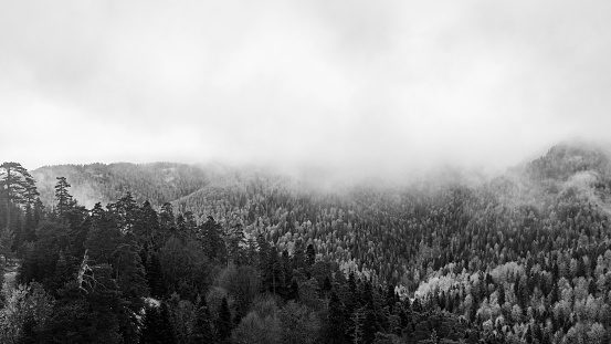 Fog and clouds on mountain