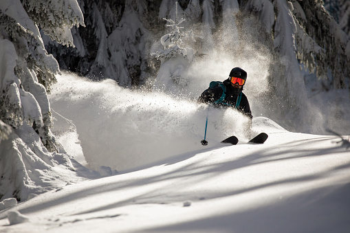 Freeride skier shredding deep fresh powder snow in a winter forest
