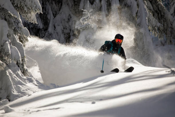 narciarz freeride rozdrabniający głęboki świeży śnieg w zimowym lesie - freeride zdjęcia i obrazy z banku zdjęć
