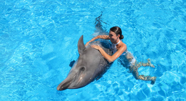 幸せな女性は青い水の中でかわいいイルカと泳ぎます。イルカセラピーのコンセプト - happy dolphin ストックフォトと画像