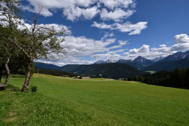 istock Summer afternoon on the Tesido meadows 1357468225