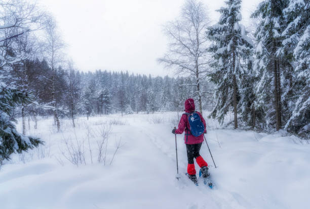 istock woman snowshoeing in winterly forest 1357469536