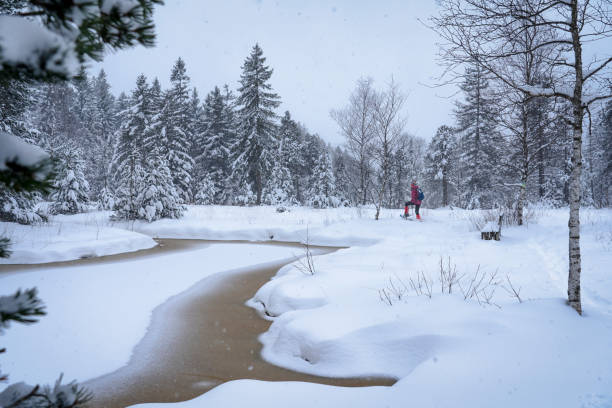 istock woman snowshoeing in winterly forest 1357469659
