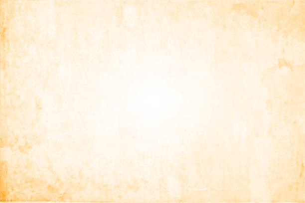 빈 빈 빈 빈 더러운 창백한 갈색 또는 베이지 색 그런지 질감 수평 오래 퇴색하고 풍화 벡터 배경 추상적 인 빛 은 젖은 물집이 벽처럼 모든 전체에 얼룩 - beige background stock illustrations