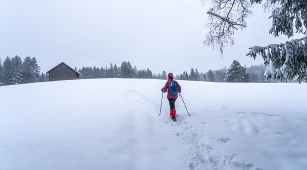 istock woman snowshoeing in winterly forest 1357469714