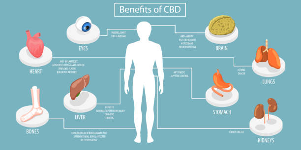 3D Isometric Flat Vector Conceptual Illustration of Benefits Of CBD 3D Isometric Flat Vector Conceptual Illustration of Benefits Of CBD, Impact of Cannabidiol on Psychiatric and Medical Conditions thc stock illustrations