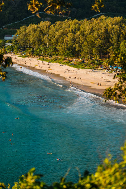 istock Aerial view of white sand tropical beach 1357471341