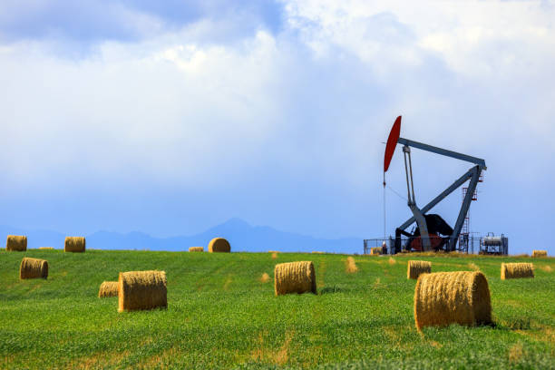 Oil Gas Petroleum Industry Pumpjack Alberta Canada An oil pumpjack in Alberta, Canada. An oil pumjack is the overground drive for a reciprocating piston pump in an oil well. natural gas extraction stock pictures, royalty-free photos & images