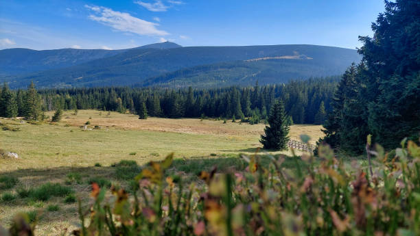 istock Scenery of giant mountains, view 1357478014