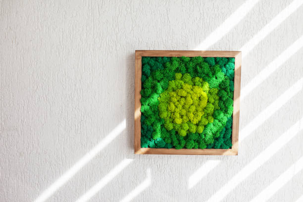 istock Stabilized multicolored Icelandic moss in the interior. Panel of green moss on the wall. Wall decoration with moss. Green moss texture in wooden frame, backdround. Copy space 1357479105